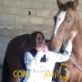  أنا إكرام من الإمارات 36 سنة مطلق(ة) و أبحث عن رجال ل الزواج